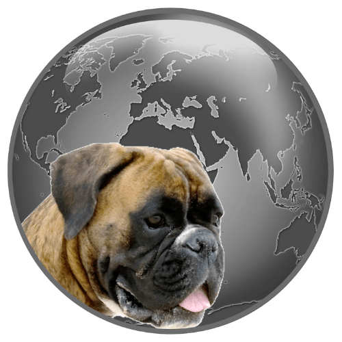 logo terre de boxer sans texte