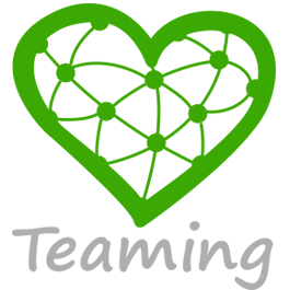 teaming logo terre de boxer